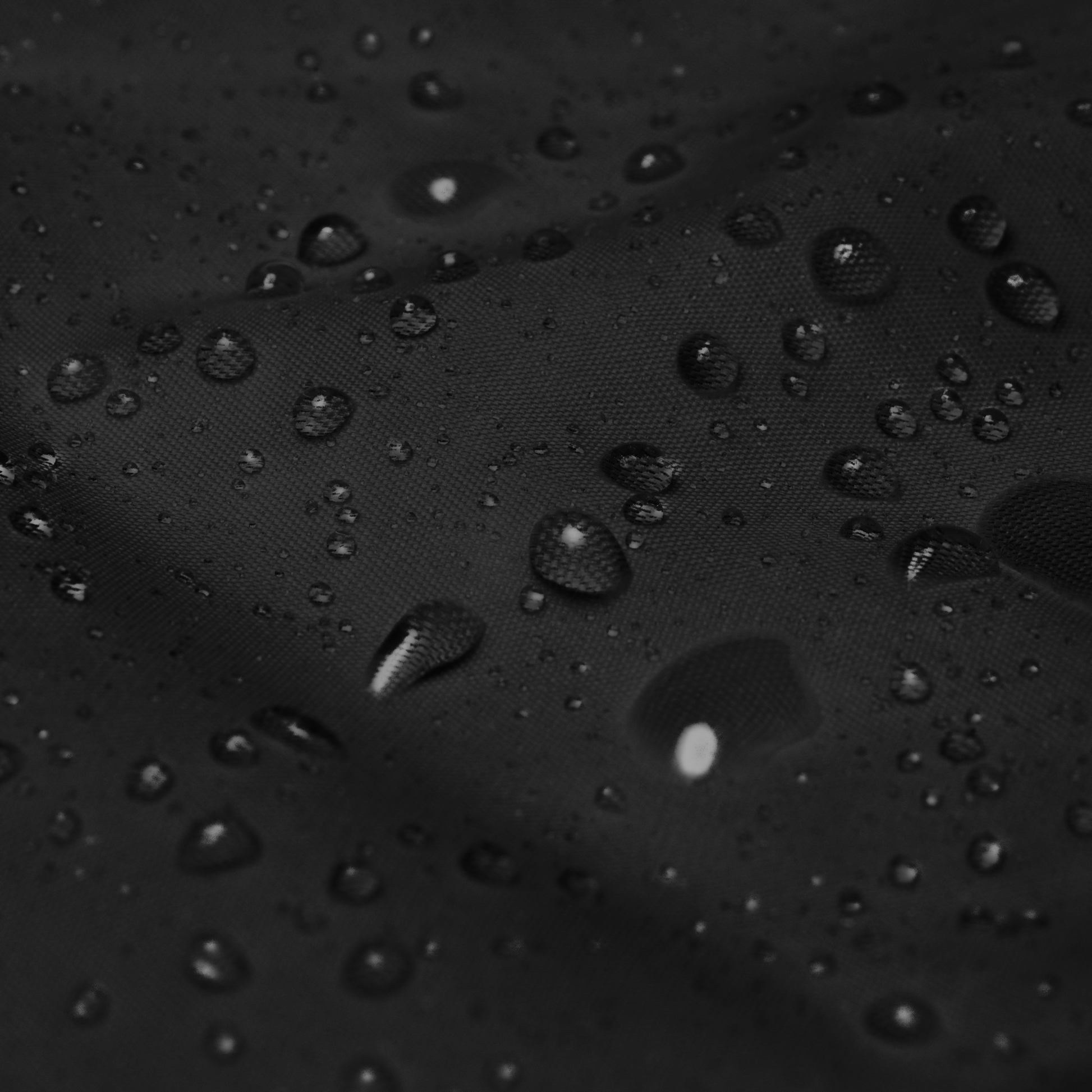 Los Secretos de Pablo jacket13